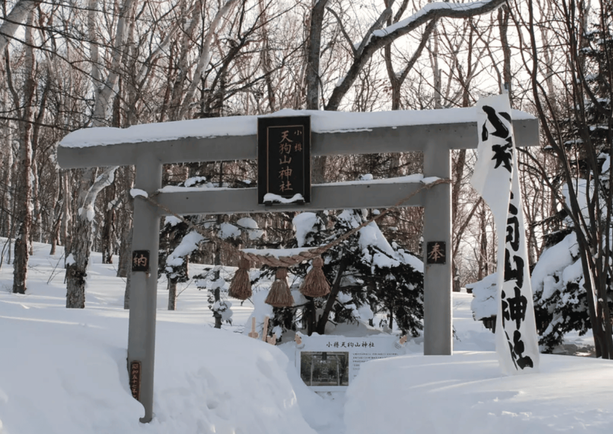 【小樽冬季景點】4. 天狗山展望台